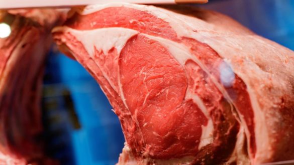 la-carne-cruda-puede-contener-bacterias-relacionadas-con-infecciones-hospitalarias