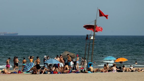 como-es-la-bacteria-fecal-que-obliga-a-cerrar-playas-y-como-nos-afectaria-si-nos-banamos