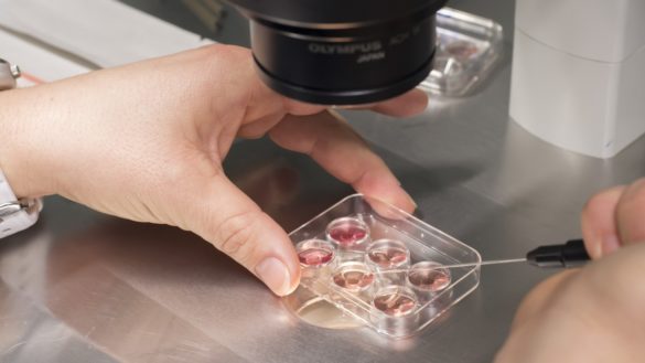 el-anonimato-de-los-donantes-de-ovulos-y-espermatozoides-llega-a-su-fin