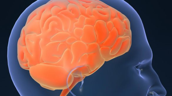 descubren-por-que-el-alzheimer-afecta-de-manera-diferente-a-hombres-y-mujeres
