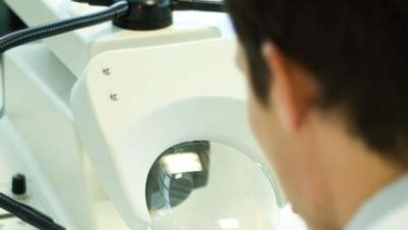 japon-permite-por-vez-primera-crear-embriones-de-humano-y-animal-para-investigar-nuevas-vias-de-transplantes