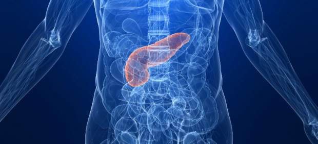 Páncreas