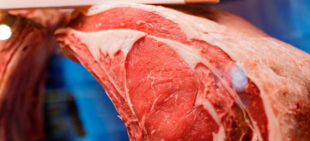 Carne cruda