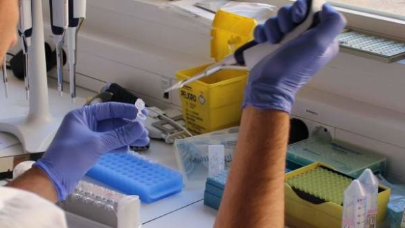 sintomas-de-la-fiebre-hemorragica-que-es-como-detectarla-y-tratamiento