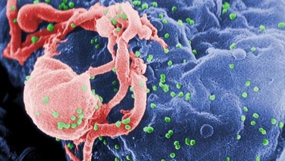 hallan-en-una-familia-espanola-una-nueva-mutacion-que-protege-frente-a-la-infeccion-por-vih