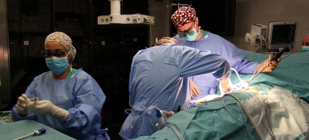 Trasplante de riñón