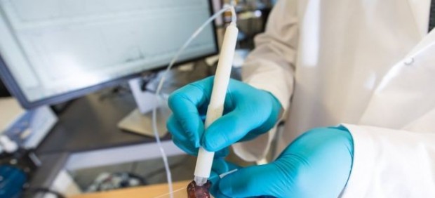 La pluma MasSpec (izquierda) podría algún día ayudar a los cirujanos de cáncer a determinar los bordes de los tumores en la sala de operaciones.