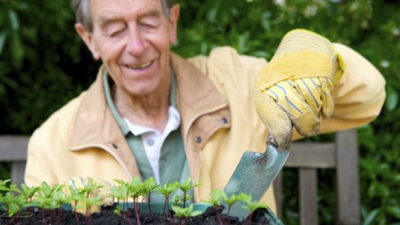 la-jardineria-puede-ser-tan-beneficiosa-para-los-mayores-como-el-ejercicio-fisico