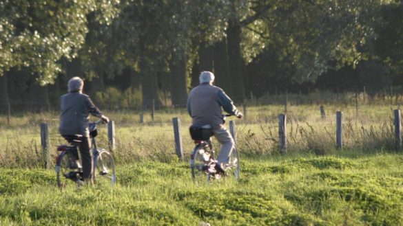 habitos-para-reducir-el-riesgo-de-tener-alzheimer