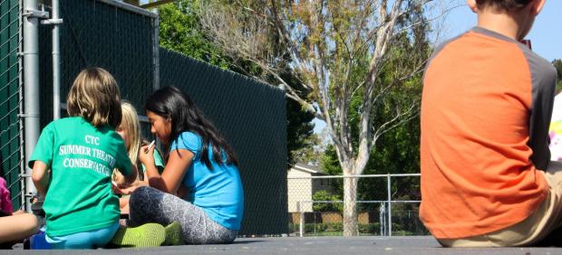 Niños en el recreo