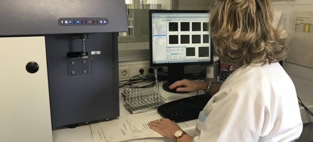 Trasplantes de médula ósea