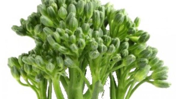 que-es-el-bimi-propiedades-y-beneficios