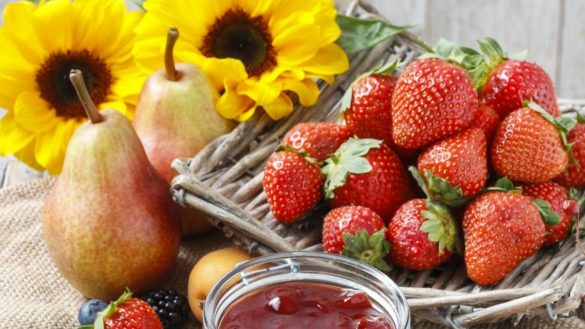 nutrientes-cuales-son-esenciales-y-por-que