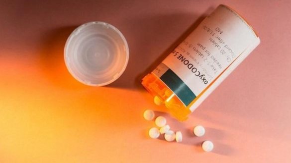 hallan-un-hongo-que-podria-imitar-los-efectos-de-los-opioides-con-menos-efectos-secundarios