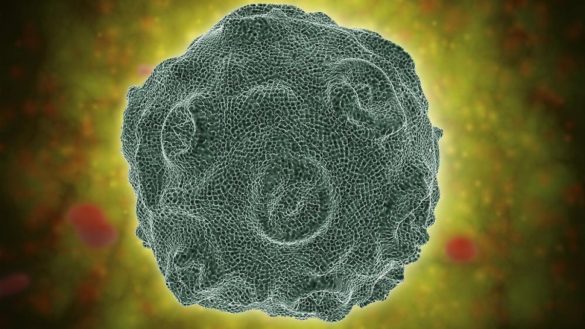 virus-del-papiloma-humano-vph-que-es-factores-de-riesgo-y-tratamiento