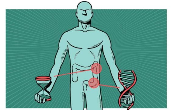 el-cancer-de-colon-podra-detectarse-15-anos-antes-de-que-de-la-cara-con-un-analisis-de-sangre