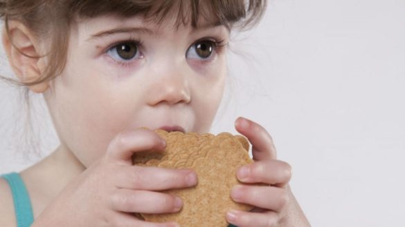 la-mitad-de-los-alimentos-para-ninos-en-europa-tienen-mas-sal-azucar-o-grasas-o-menos-fibra-de-lo-comprometido