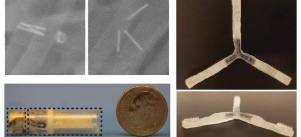 Medicamento oral con microagujas