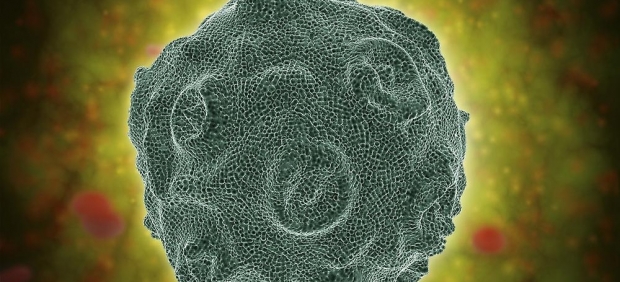 Virus del Papiloma Humano