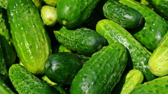 15-alimentos-tan-hidratantes-casi-como-el-agua