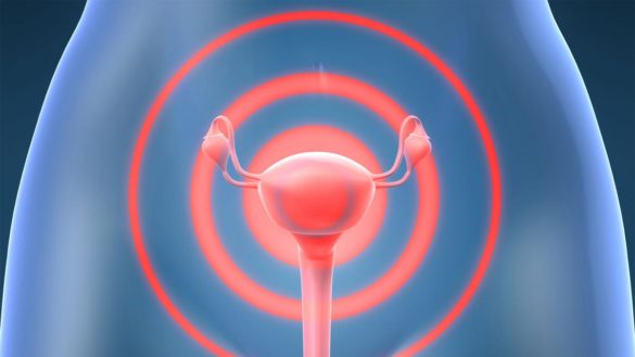 una-investigacion-aporta-evidencia-de-la-funcion-reproductora-del-clitoris
