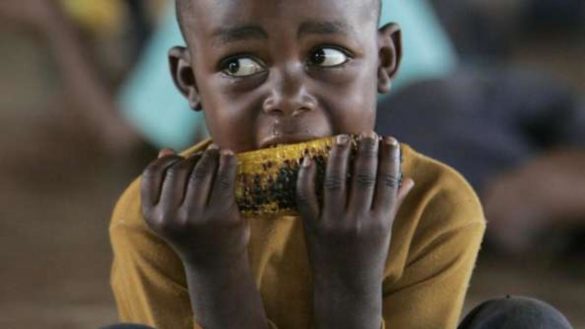 comida-mejorada-el-mit-enriquece-los-alimentos-con-polimeros-que-171rellenan187-con-micronutrientes