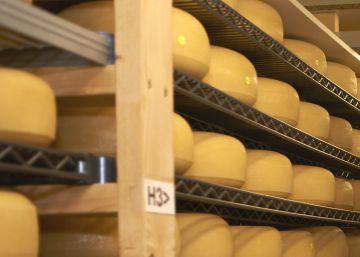 salud-retira-los-productos-de-una-queseria-guipuzcoana-por-listeria