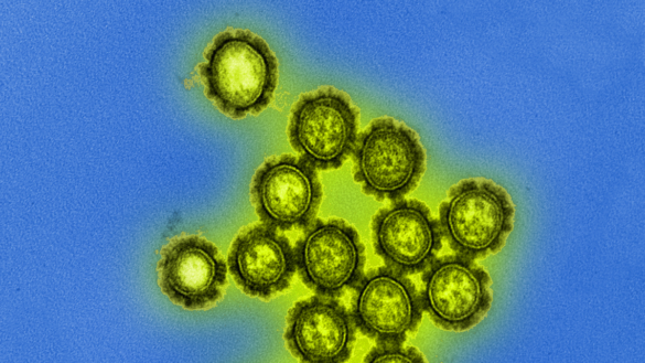 alertan-de-un-farmaco-para-la-gripe-que-convierte-al-virus-en-resistente