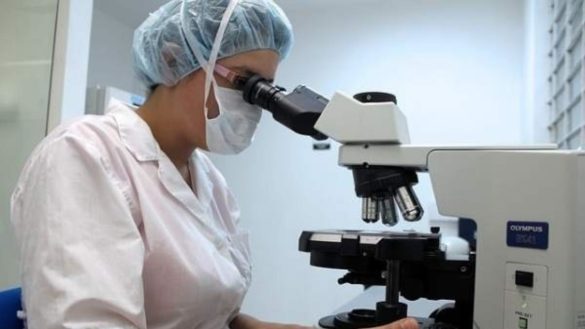 un-antioxidante-hallado-en-animales-protege-del-alzheimer-y-el-parkinson