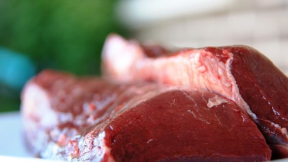 carne-de-caza.-como-consumirla-sin-correr-riesgos