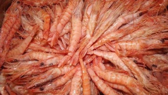 es-peligroso-chupar-la-cabeza-de-las-gambas-los-nutricionistas-descartan-generar-alarma-por-el-cadmio