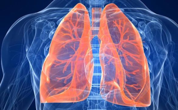 cientificos-espanoles-crean-una-prueba-no-invasiva-para-detectar-y-personalizar-el-tratamiento-de-la-fibrosis-pulmonar