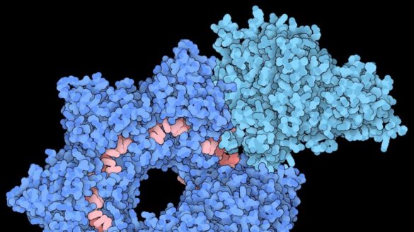 investigadores-de-columbia-desarrollan-8216integrate8217-una-herramienta-crispr-8216mejorada8217-para-la-edicion-de-genes
