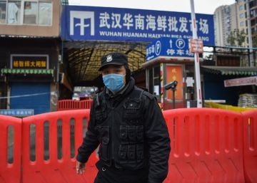 china-prohibe-comerciar-con-animales-salvajes-por-el-coronavirus-de-wuhan