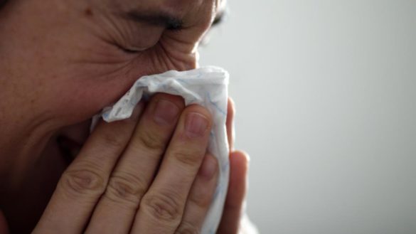 gripe-a-b-c-y-d.-como-son-los-distintos-tipos-de-gripe-son-igual-de-peligrosas