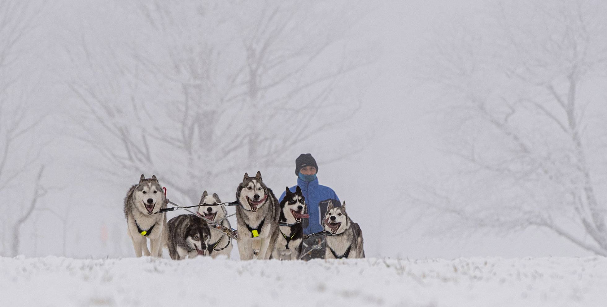 Las imágenes del día, 22012020