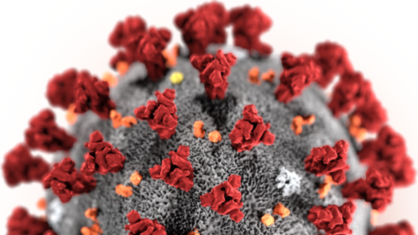 por-que-a-diferencia-del-sars-aun-no-se-le-ha-dado-un-nombre-al-coronavirus-de-wuhan