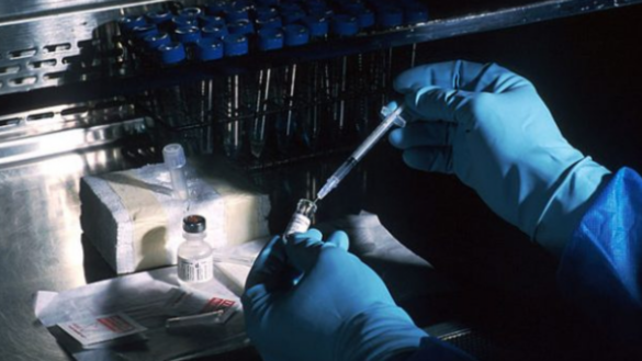 cientificos-de-dos-paises-experimentan-en-humanos-una-vacuna-mas-eficaz-contra-la-neumonia