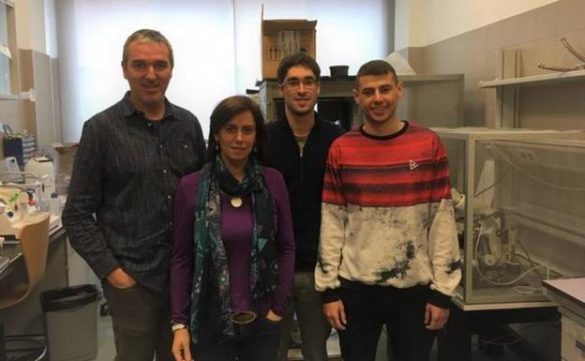 cientificos-espanoles-descubren-uno-de-los-mecanismos-por-el-que-los-enfermos-de-alzheimer-no-recuperan-la-memoria