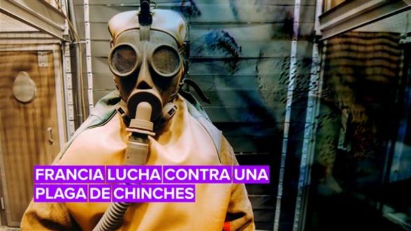 francia-lucha-contra-una-plaga-de-chinches