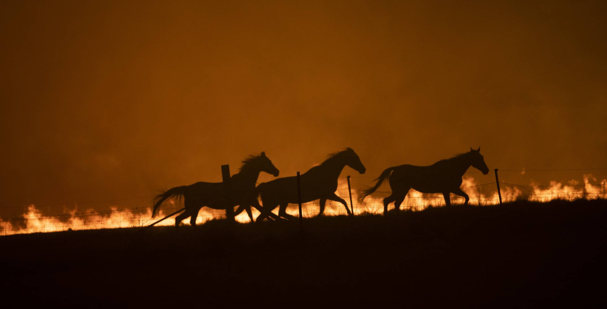 Las 20 mejores imágenes de la semana