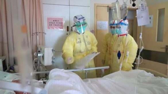 asi-sera-el-futuro-del-coronavirus-segun-los-expertos-cientificos
