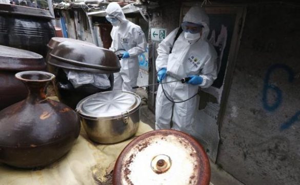 el-coronavirus-se-extiende-por-africa-y-oriente-medio-y-crece-en-america