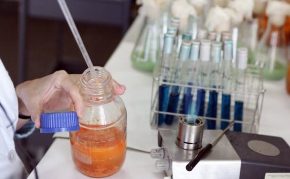 30-millones-para-investigar-la-vacuna-del-coronavirus