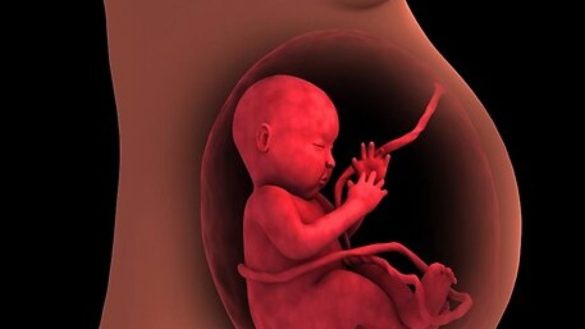 placenta-baja-o-previa-que-riesgos-tiene-como-se-trata