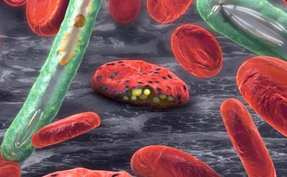 los-farmacos-contra-la-malaria-nueva-baza-contra-el-covid-19