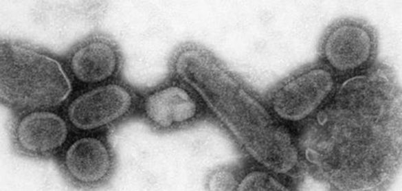 el-virus-que-surgio-del-frio