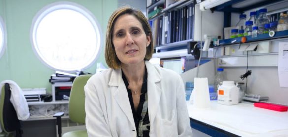 no-sabemos-si-la-respuesta-inmune-al-coronavirus-es-transitoria