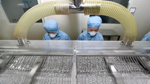 la-oms-traslada-que-la-cloroquina-es-una-opcion-mas-en-la-busqueda-de-un-tratamiento-contra-el-coronavirus