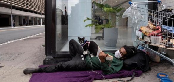 belgica-detecta-un-caso-aislado-de-un-paciente-que-contagio-a-su-gato
